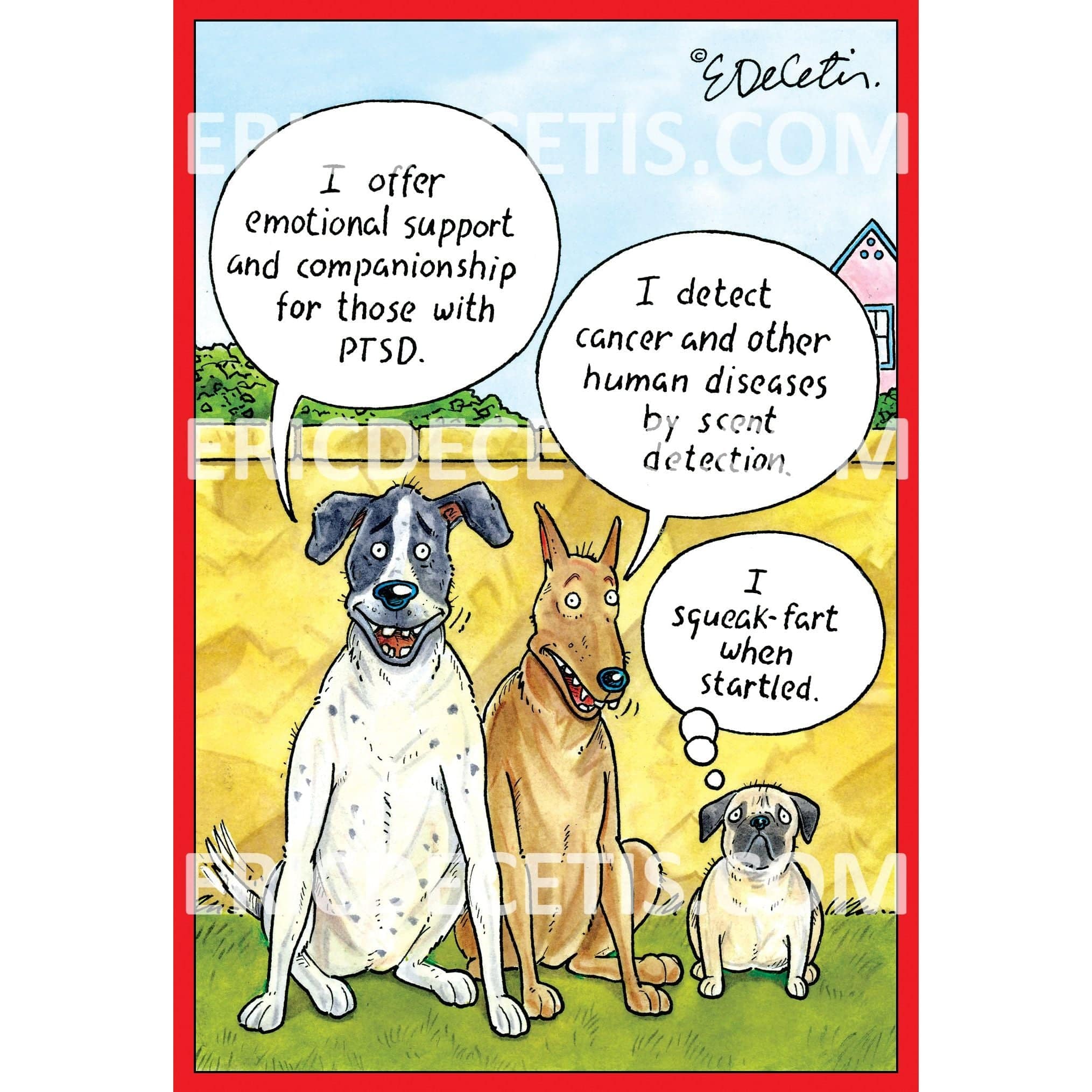 Squeak Fart Birthday Card by Pictura featuring humorous cartoon illustration for birthday celebrations